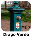 Drago Verde 7